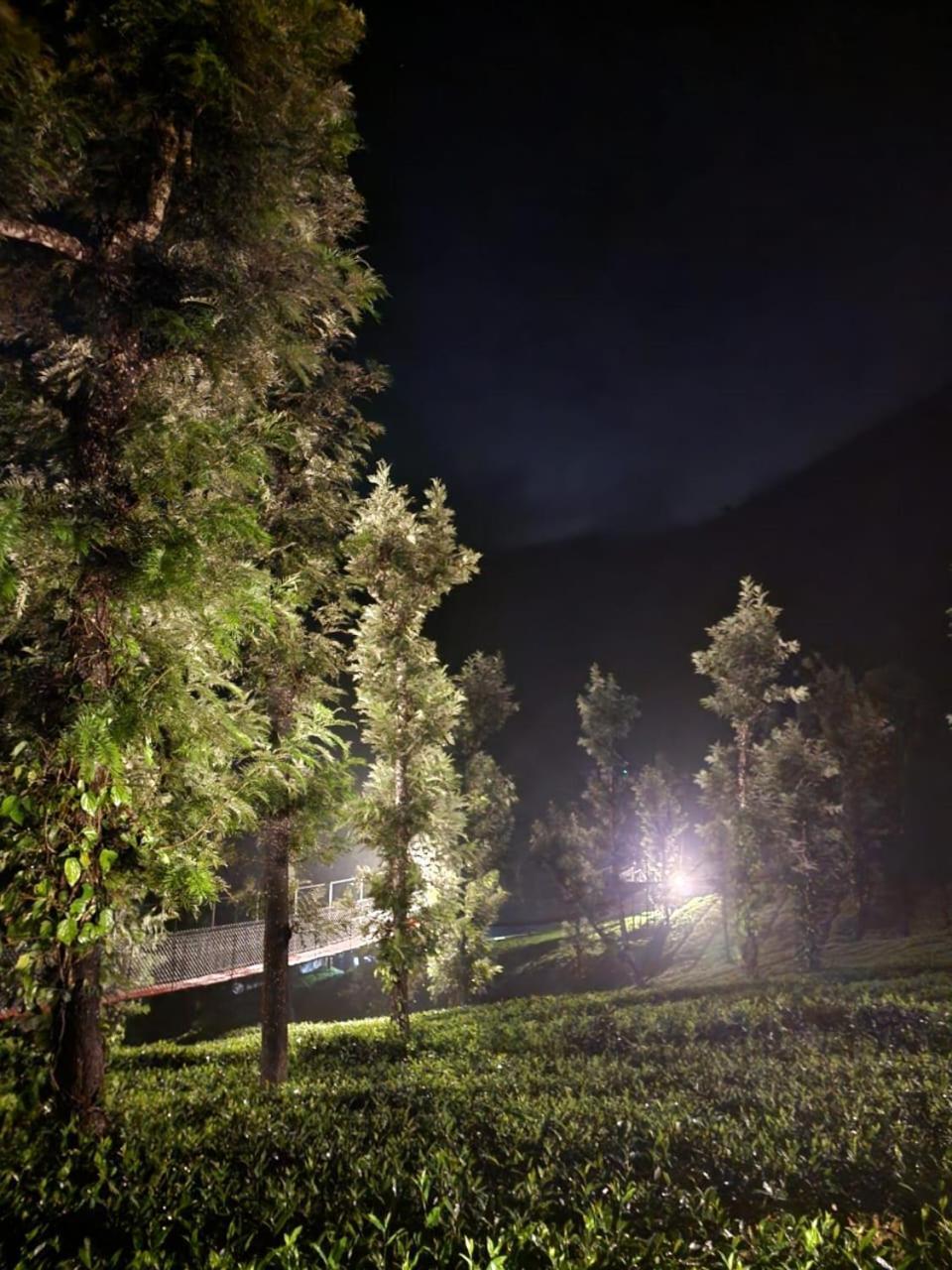Vythiri Tea Valley I Best Hotel In Wayanad L Hotels In Vythiri Wayanad Exterior photo