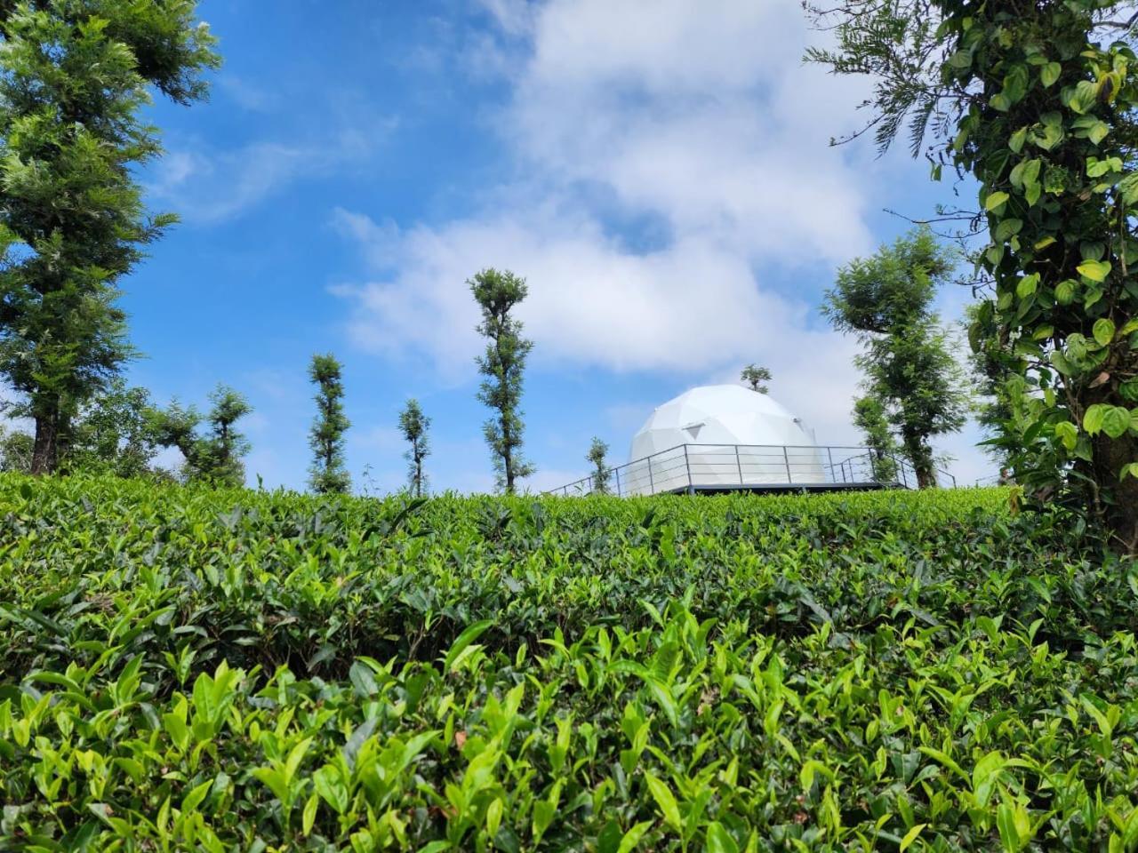 Vythiri Tea Valley I Best Hotel In Wayanad L Hotels In Vythiri Wayanad Exterior photo